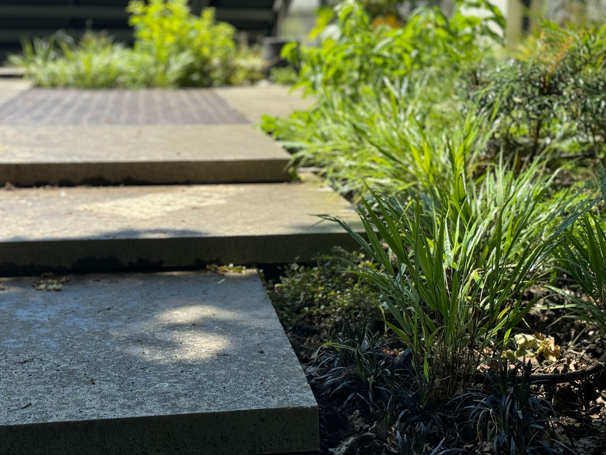 Grass lawn with paved area and plant pots